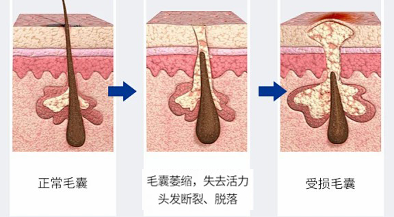 115acaf009605adc3ee7ff5f58834af92d803eef356a9-e2mkXL_fw658webp.jpg