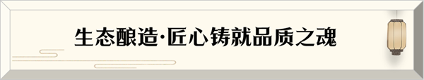 02.png