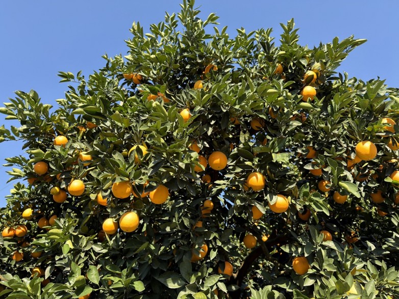 1763689762100562.jpg 微信图片_20251121094703.jpg