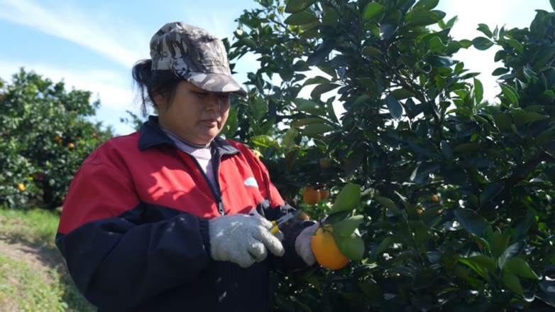 1763689811621087.jpg 微信图片_20251121094726.jpg