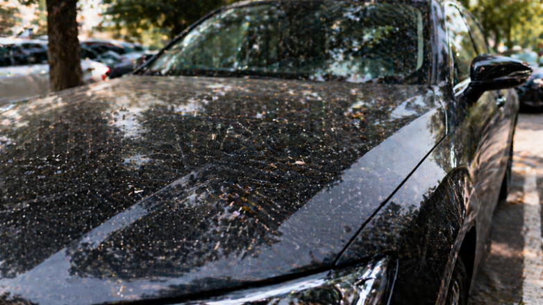 ChatGPT Image 2026年4月27日 19_19_52.png